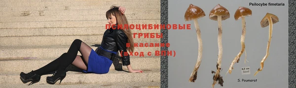 хмурый Алзамай