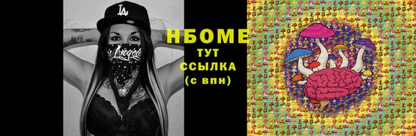крисы Аркадак